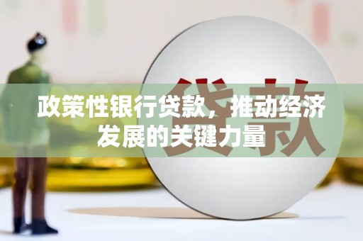 宜城政策性银行贷款，推动经济发展的关键力量