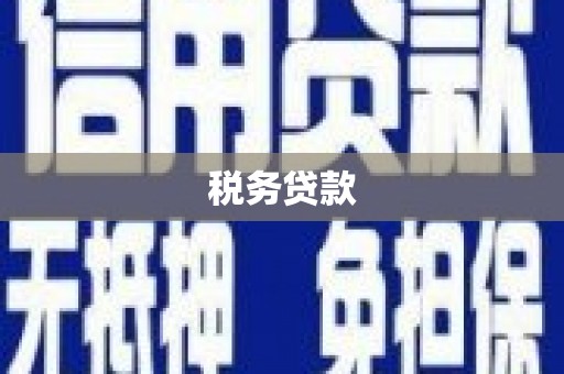 宜城税务贷款
