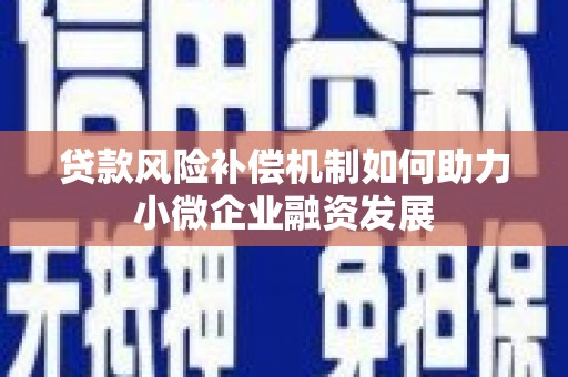 宜城贷款风险补偿机制如何助力小微企业融资发展