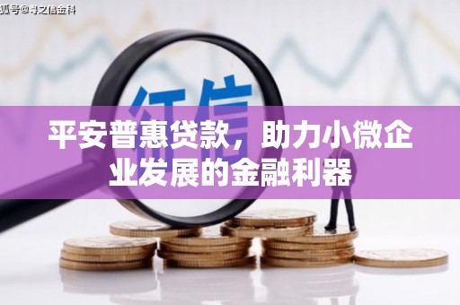 宜城平安普惠贷款，助力小微企业发展的金融利器