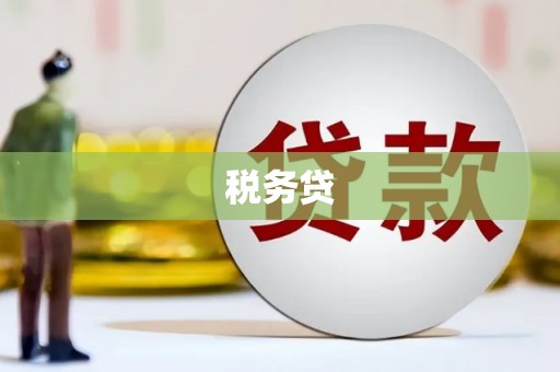 宜城税务贷