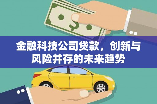 宜城金融科技公司贷款，创新与风险并存的未来趋势