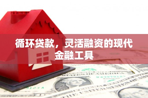 宜城循环贷款，灵活融资的现代金融工具