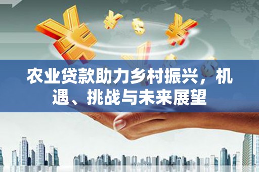 宜城农业贷款助力乡村振兴，机遇、挑战与未来展望