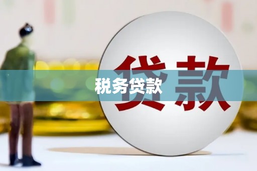 宜城税务贷款