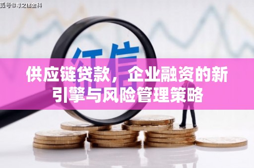 宜城供应链贷款，企业融资的新引擎与风险管理策略