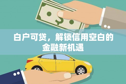 宜城白户可贷，解锁信用空白的金融新机遇