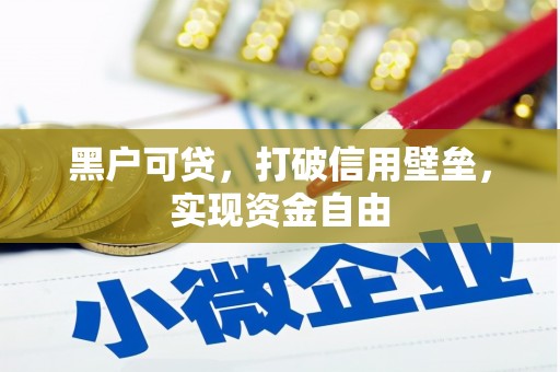 宜城黑户可贷，打破信用壁垒，实现资金自由