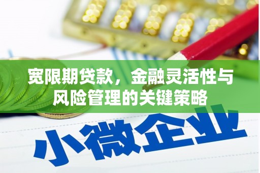 宜城宽限期贷款，金融灵活性与风险管理的关键策略