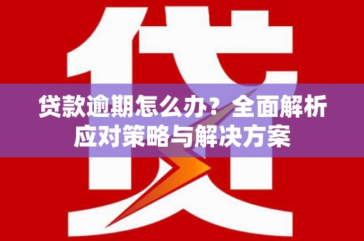 宜城贷款逾期怎么办？全面解析应对策略与解决方案