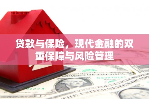 宜城贷款与保险，现代金融的双重保障与风险管理