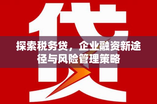 宜城探索税务贷，企业融资新途径与风险管理策略