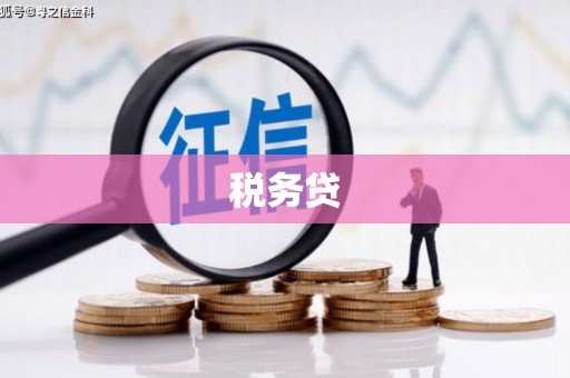 宜城税务贷