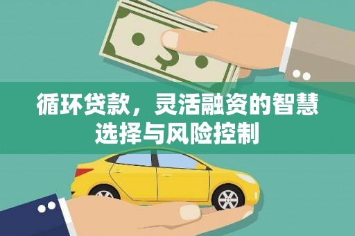 宜城循环贷款，灵活融资的智慧选择与风险控制