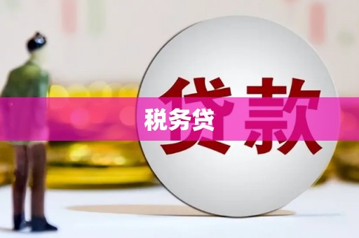 宜城税务贷