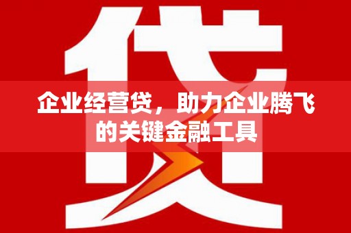 宜城企业经营贷，助力企业腾飞的关键金融工具