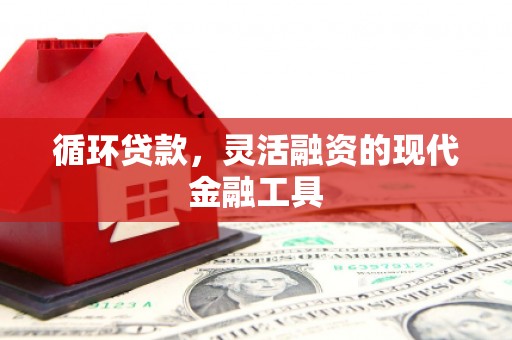 宜城循环贷款，灵活融资的现代金融工具