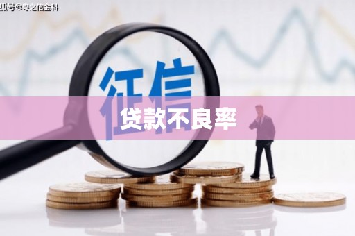 宜城贷款不良率