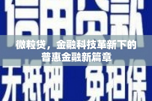 宜城微粒贷，金融科技革新下的普惠金融新篇章