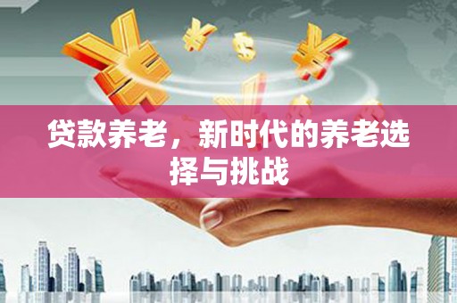 宜城贷款养老，新时代的养老选择与挑战