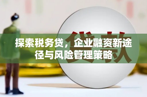 宜城探索税务贷，企业融资新途径与风险管理策略