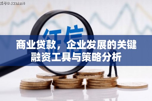 宜城商业贷款，企业发展的关键融资工具与策略分析