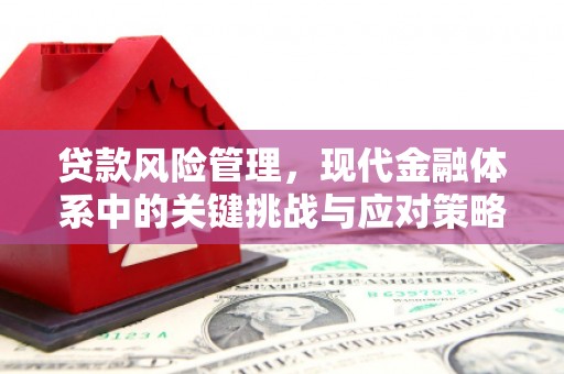 宜城贷款风险管理，现代金融体系中的关键挑战与应对策略