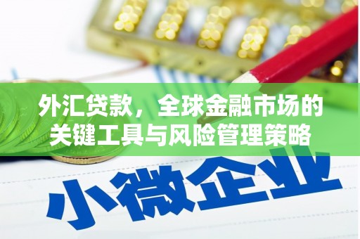 宜城外汇贷款，全球金融市场的关键工具与风险管理策略