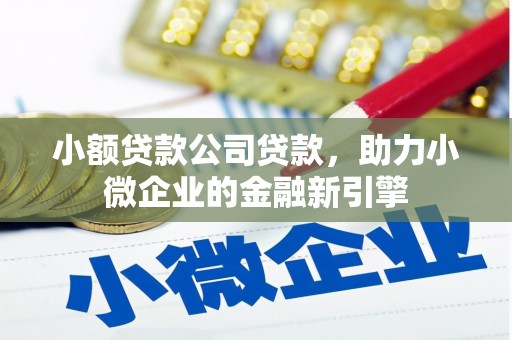 宜城小额贷款公司贷款，助力小微企业的金融新引擎
