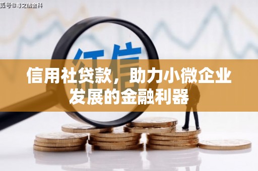 宜城信用社贷款，助力小微企业发展的金融利器