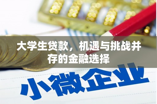 宜城大学生贷款，机遇与挑战并存的金融选择