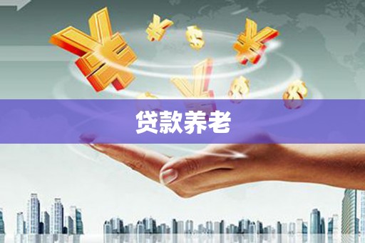 宜城贷款养老