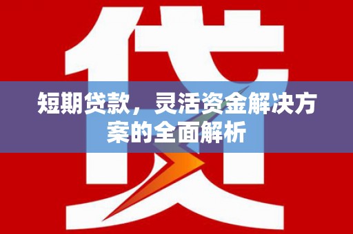 宜城短期贷款，灵活资金解决方案的全面解析
