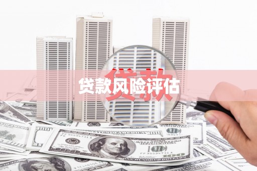宜城贷款风险评估