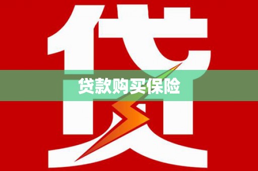 宜城贷款购买保险