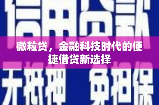 宜城微粒贷，金融科技时代的便捷借贷新选择