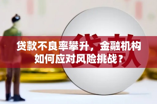 宜城贷款不良率攀升，金融机构如何应对风险挑战？