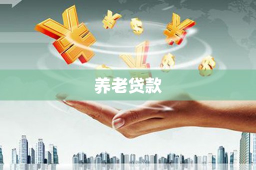 宜城养老贷款