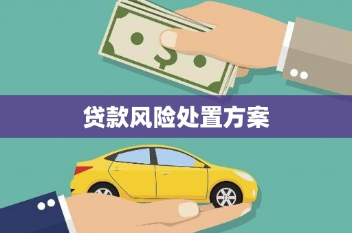 宜城贷款风险处置方案