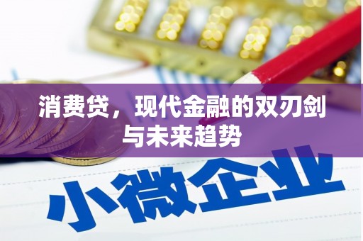 宜城消费贷，现代金融的双刃剑与未来趋势
