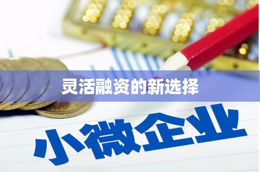 宜城灵活融资的新选择