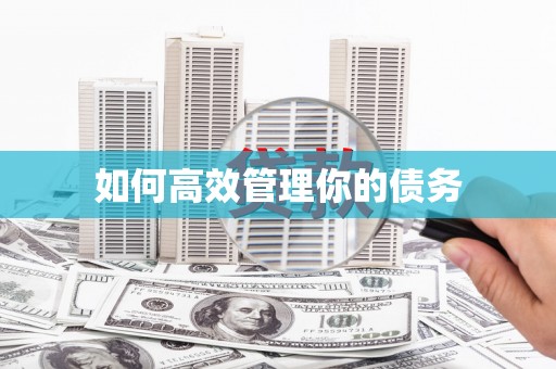 宜城如何高效管理你的债务