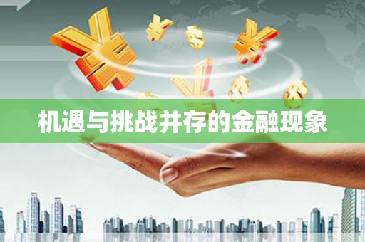 宜城机遇与挑战并存的金融现象