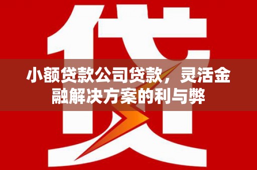 宜城小额贷款公司贷款，灵活金融解决方案的利与弊